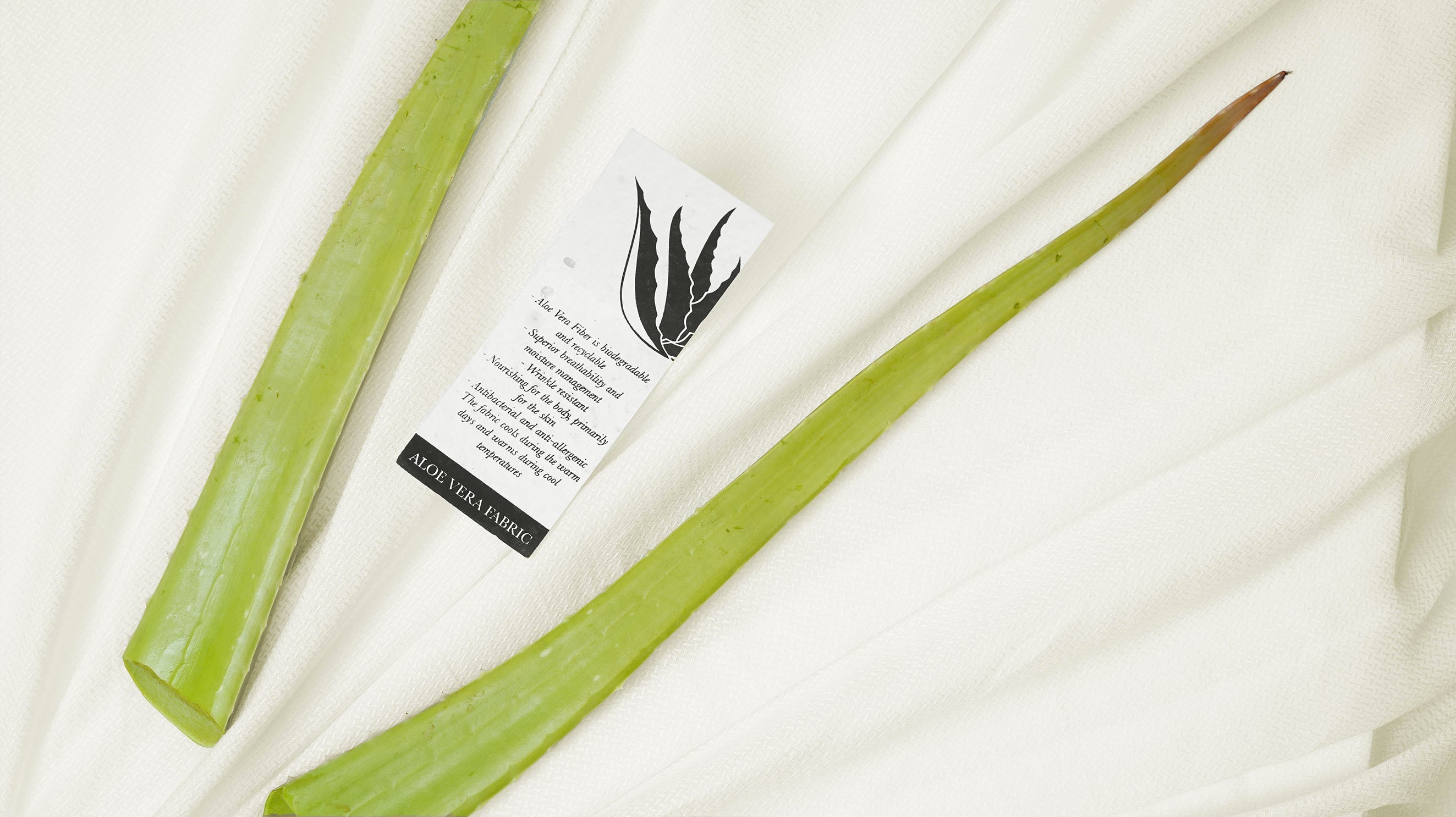 Why Aloe Vera Is 2025's Most Unexpected (and Genius) Sustainable Fashion  Trend - House of Parvi