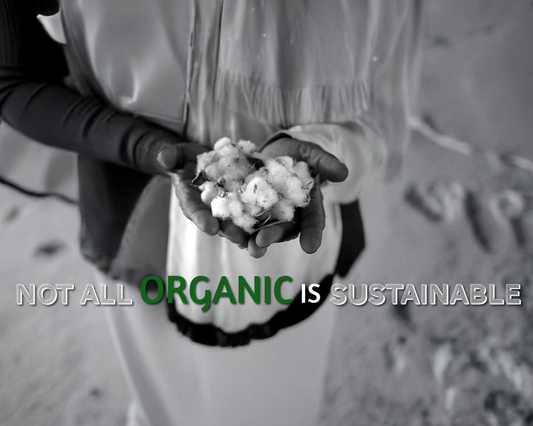 Why Organic Cotton Is Not as Sustainable as You Think