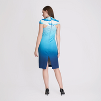 Back view of the ombre blue midi dress showing the cloud print yoke and back slit